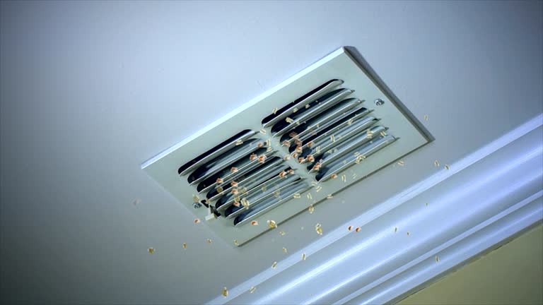 Best HVAC Air Duct Cleaning  in Payette, ID